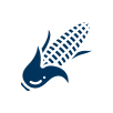 inc_icn_1